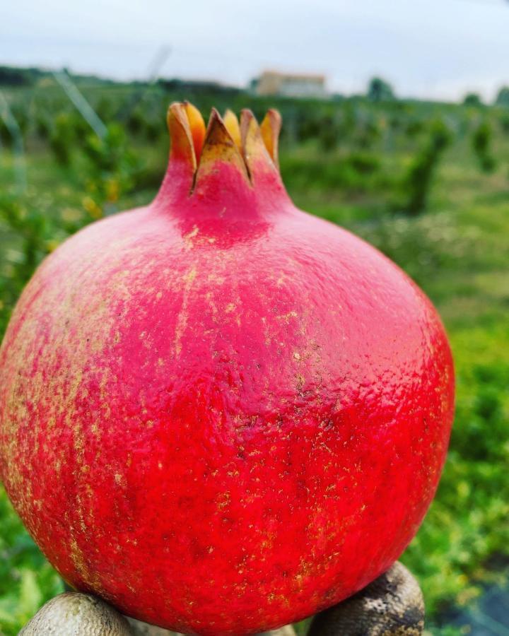 Arcadia Agriturismo San Nicola Manfredi Zewnętrze zdjęcie